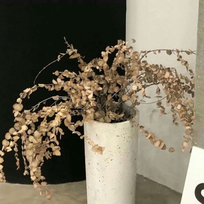 Furry绘画配色实用指南Furry群